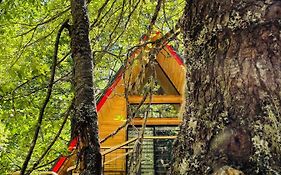 Casa del Árbol - Malalcahuello